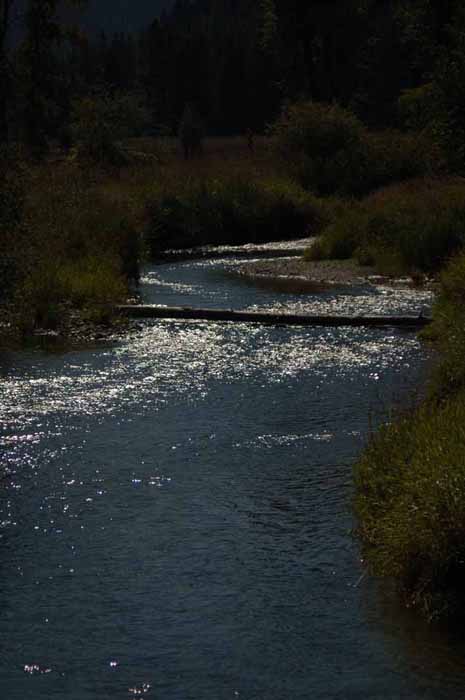 Rock Creek